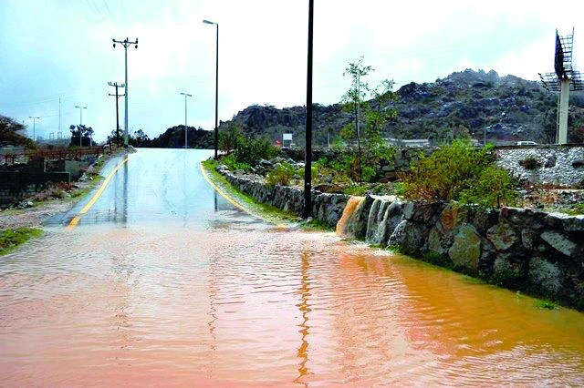 Death toll in flash floods 24