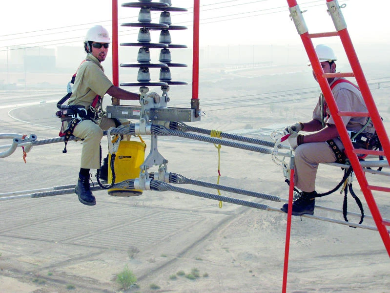 SEC chief calls for review of energy subsidies