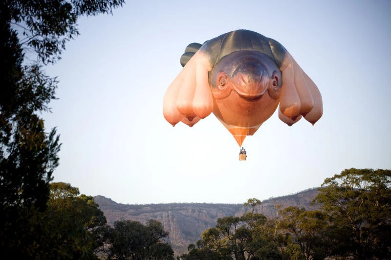 Gigantic balloon: Inspiration or waste?