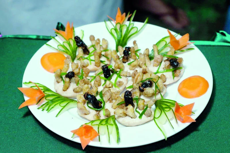 Eat more insects; good for you, good for world
