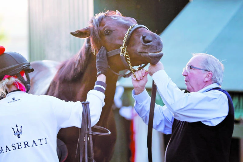 Orb favored to take Preakness, set up Triple Crown try