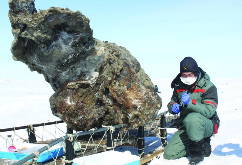 Russian scientists make rare find of ‘blood’ in mammoth