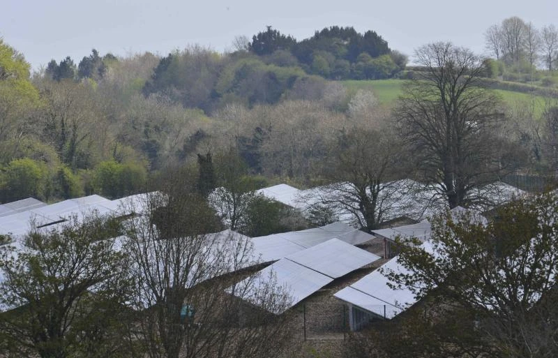 EU to propose punitive duties on Chinese solar panels