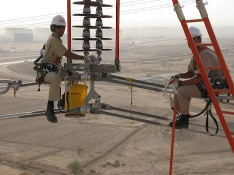 Saudi Electricity says subsidies should be revised