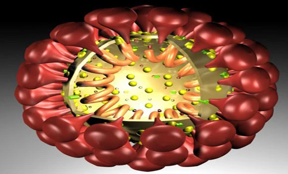 Confusion over number of coronavirus patients