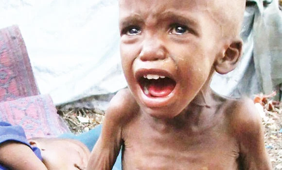 Somali famine ‘killed’ 258,000, half of them young children