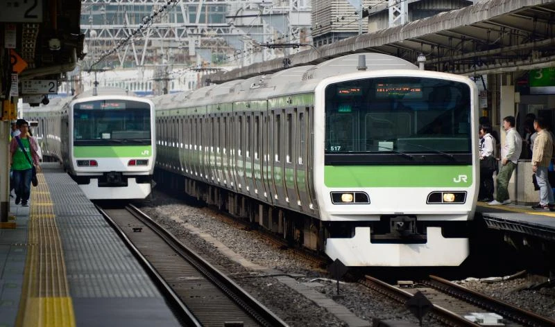 Love and carriage: Japan railway offers train wedding