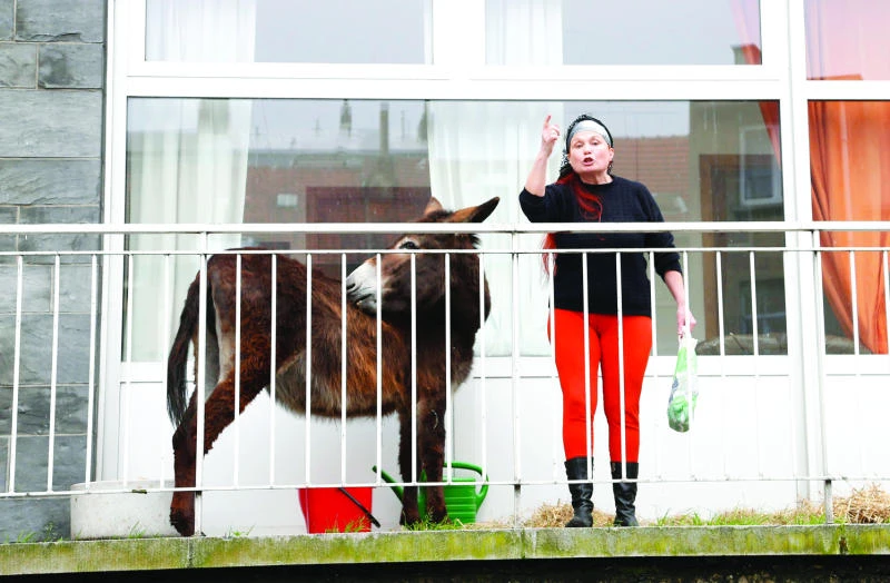 Lola the donkey ordered to get off Brussels balcony