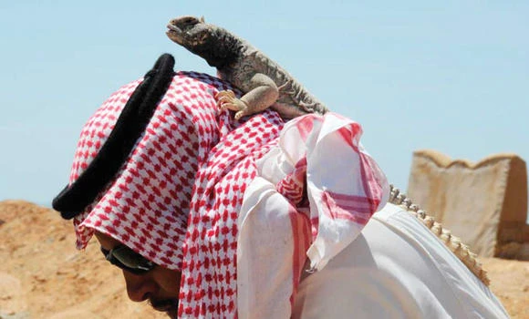 Young Saudis go hunting for lizards