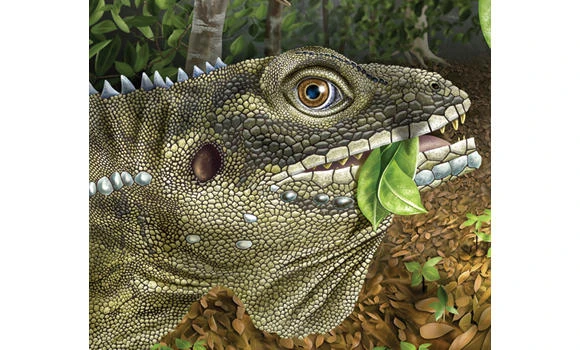 Lizard King: Giant reptile named after Jim Morrison