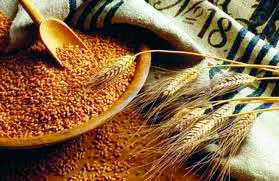 Ukraine eyes higher Middle East grain exports