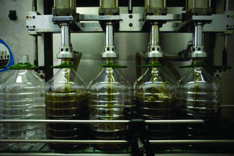 Prostate cancer patients may prolong lives with healthy fats
