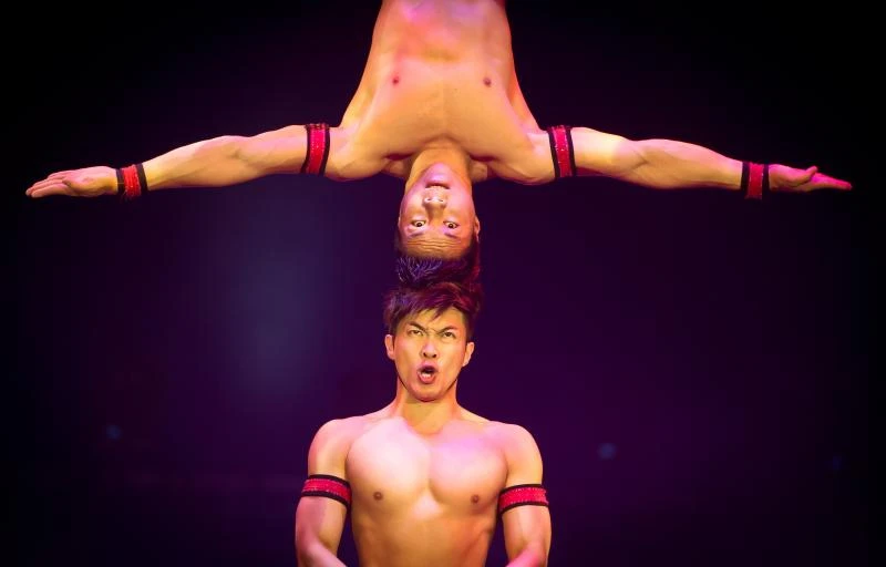 American UniverSoul circus boasts US-African roots