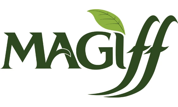 Magiff lines up franchising schemes