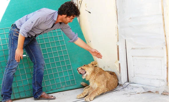 Meet the $ 20,000 pet lion that lives on Kabul rooftop