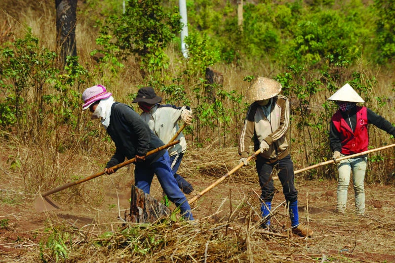 Turf battles: Vietnam’s land rights crisis