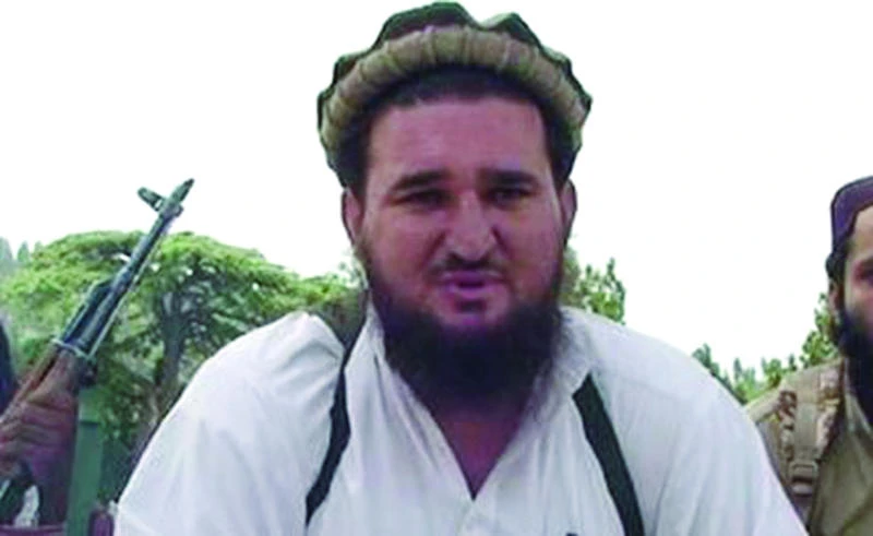 Pak militants sack top member