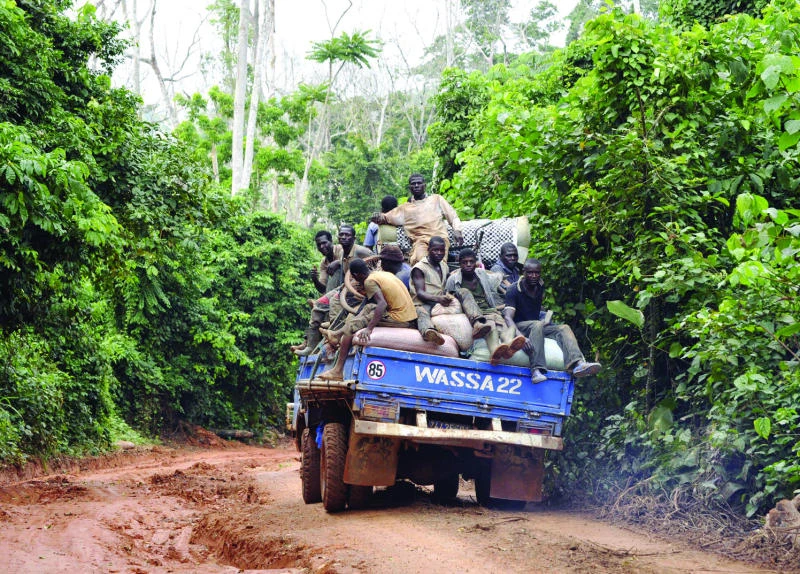 Ivory Coast faces dilemma to save forests