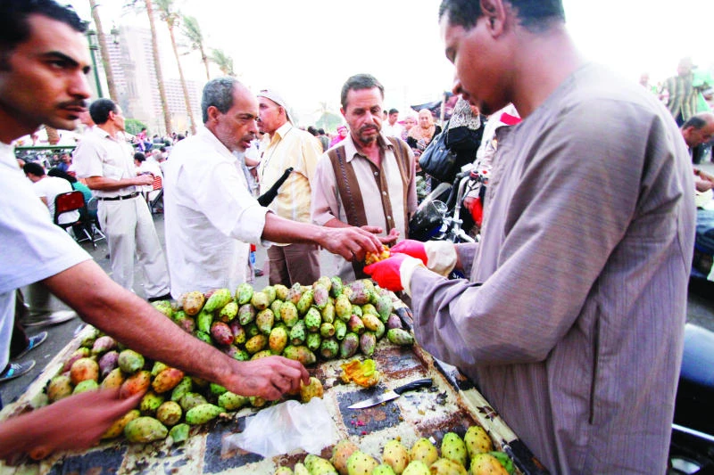 Aid to boost Egypt’s shattered economy but analysts wary