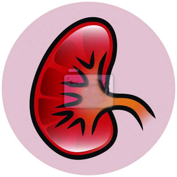 Kidney cancer on the rise in KSA