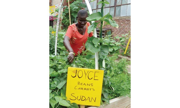 Gardens help refugees take root in the US