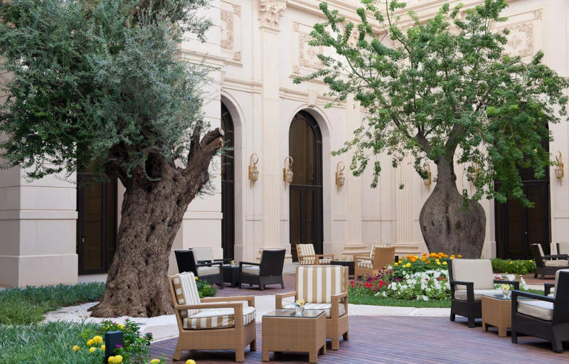 Vintage trees at Riyadh hotel capture attention of visitors