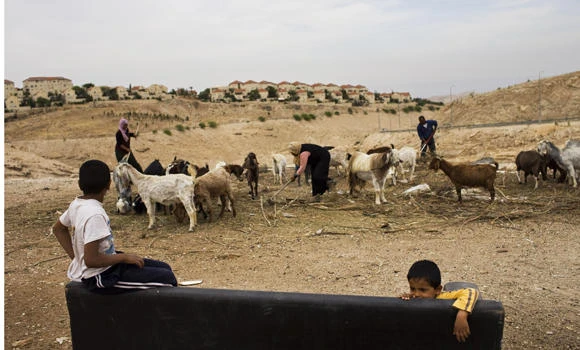 Israeli official slams govt impunity in occupied territories