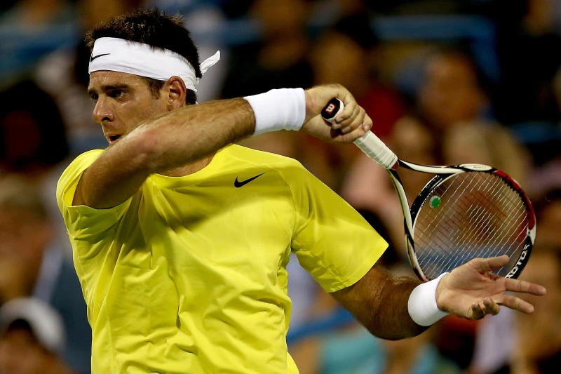 Del Potro in last eight after twin kill