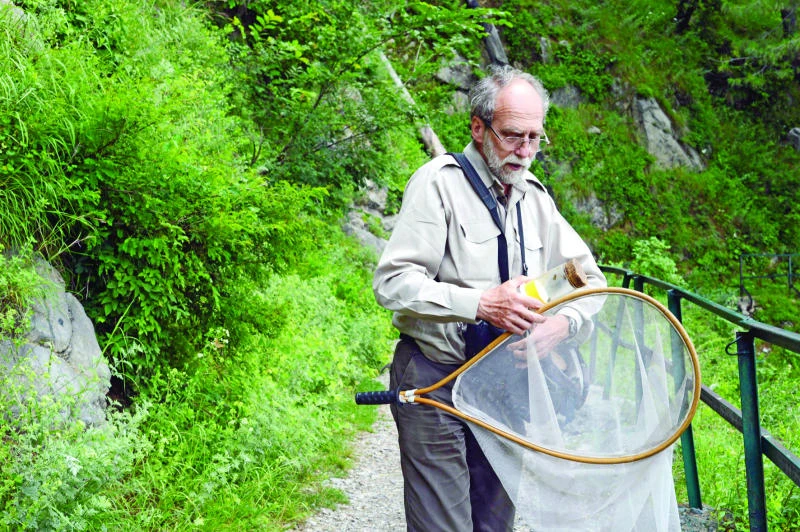 Hunting for butterflies in Pakistan — with cheese
