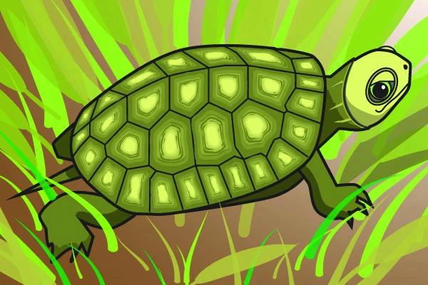 Study: Green sea turtles eat more plastic than ever