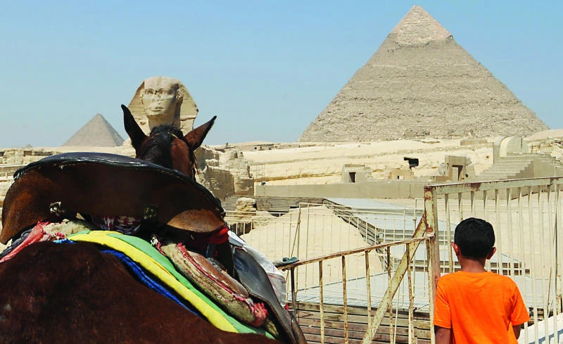 Travel firms cancel Egypt holidays