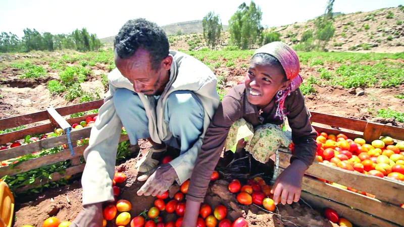 Ethiopia urged to support more private investment