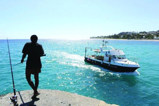 Indian Ocean island beset by shark controversy