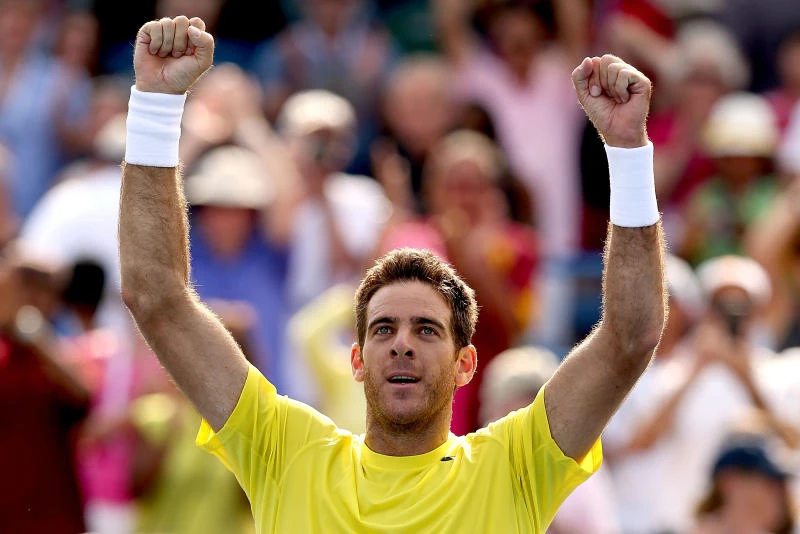 Del Potro tops Isner to clinch Washington title