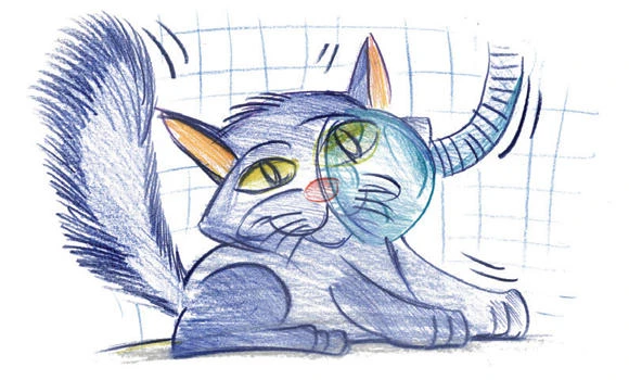 Hardly a-mew-sing: Cats neutered without anesthesia