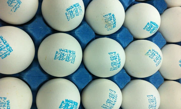 Egg producers face subsidy cut threat