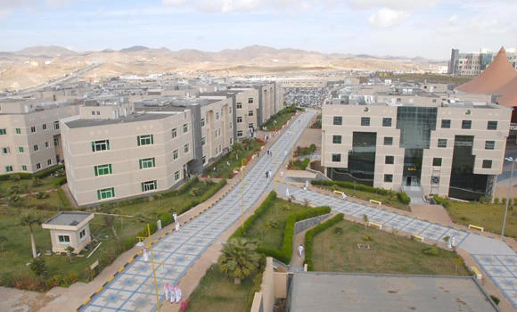 Universities ‘not hiring’ enough Saudi professors