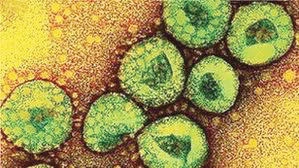 MERS strikes: 2 dead in 5 days, 4 contract virus