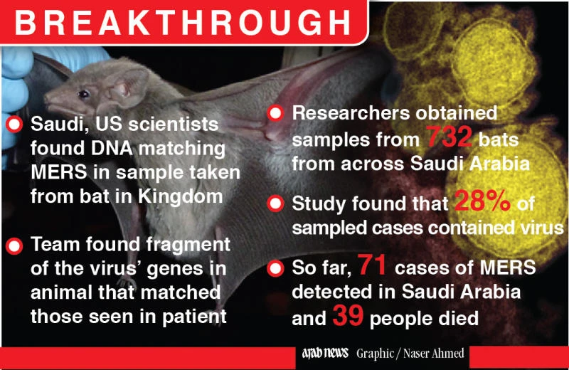 Bat narrows hunt for MERS’ source