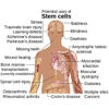 Scientists grow human heart tissue