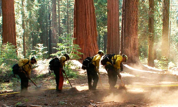 Yosemite wildfire under control