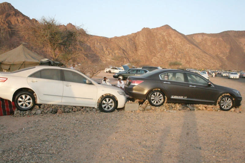 ‘Car artists’ ply their trade at Madinah’s Al-Baida Park