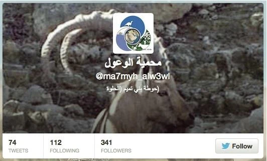 Saudi wildlife body does not have a Twitter account
