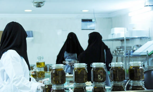 ‘Dates undergo quality testing by team of 25 Saudi women’