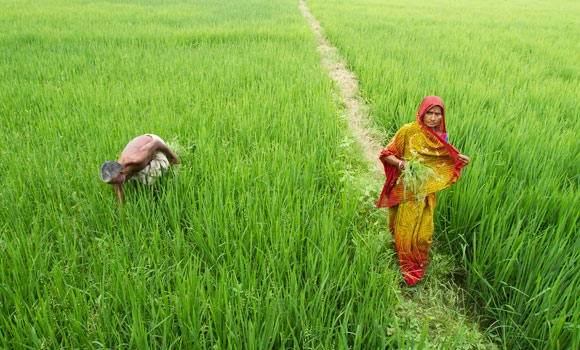 Saudi-Indian agro cooperation boosted
