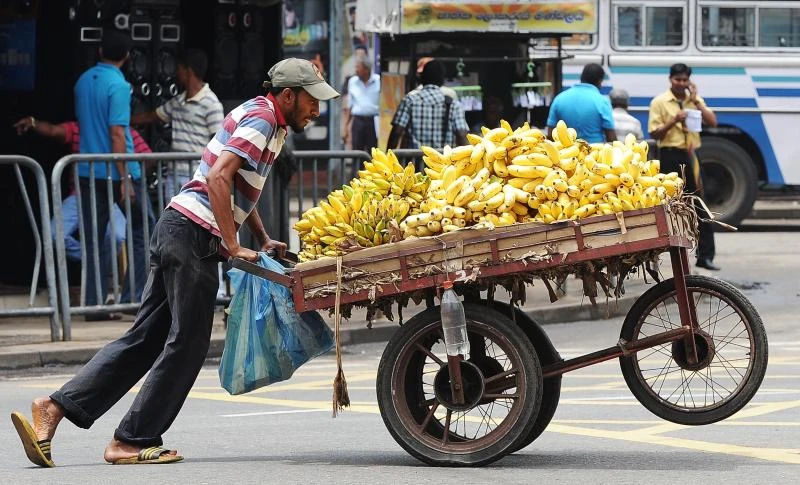 Sri Lanka rupee edges down