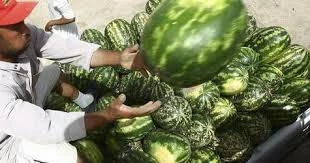 Outlook for Kingdom’s food and agriculture sector remains strong