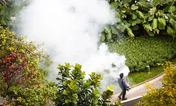Dengue emergency in Pakistan’s Swat