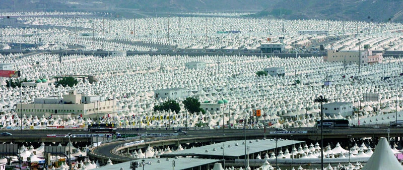 Ministry instructs Haj service establishments to keep environment clean at holy sites