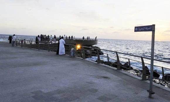 Jeddah swimmers alerted on sharks